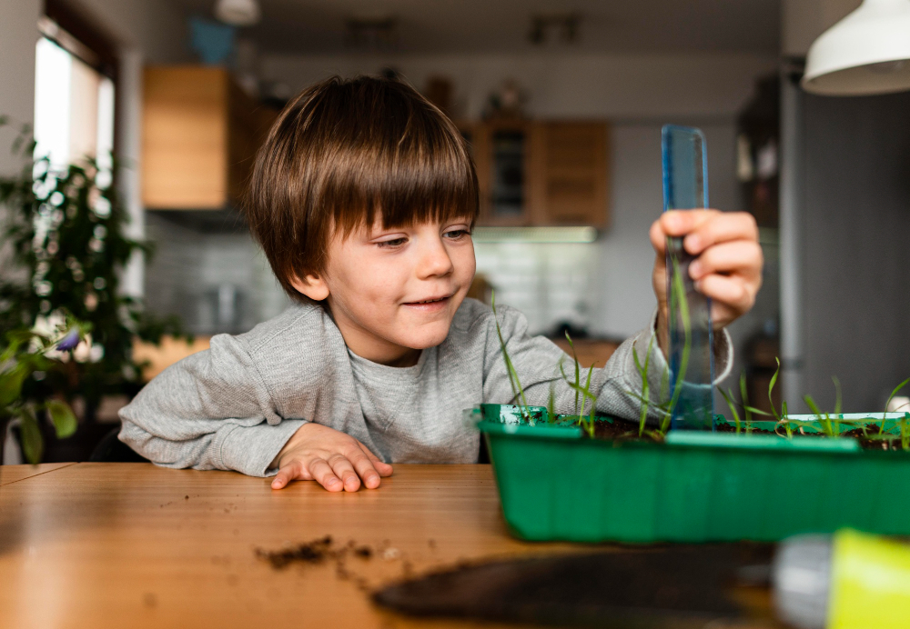 A boy measuring plant growth at home