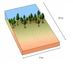 A rectangular field measuring 28 m by 8 m